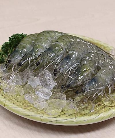 藍鑽蝦