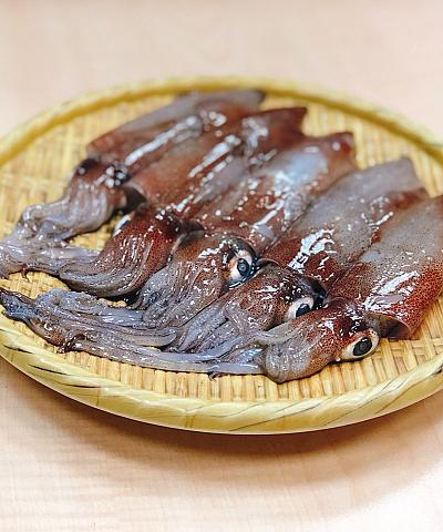 基隆船凍小卷
